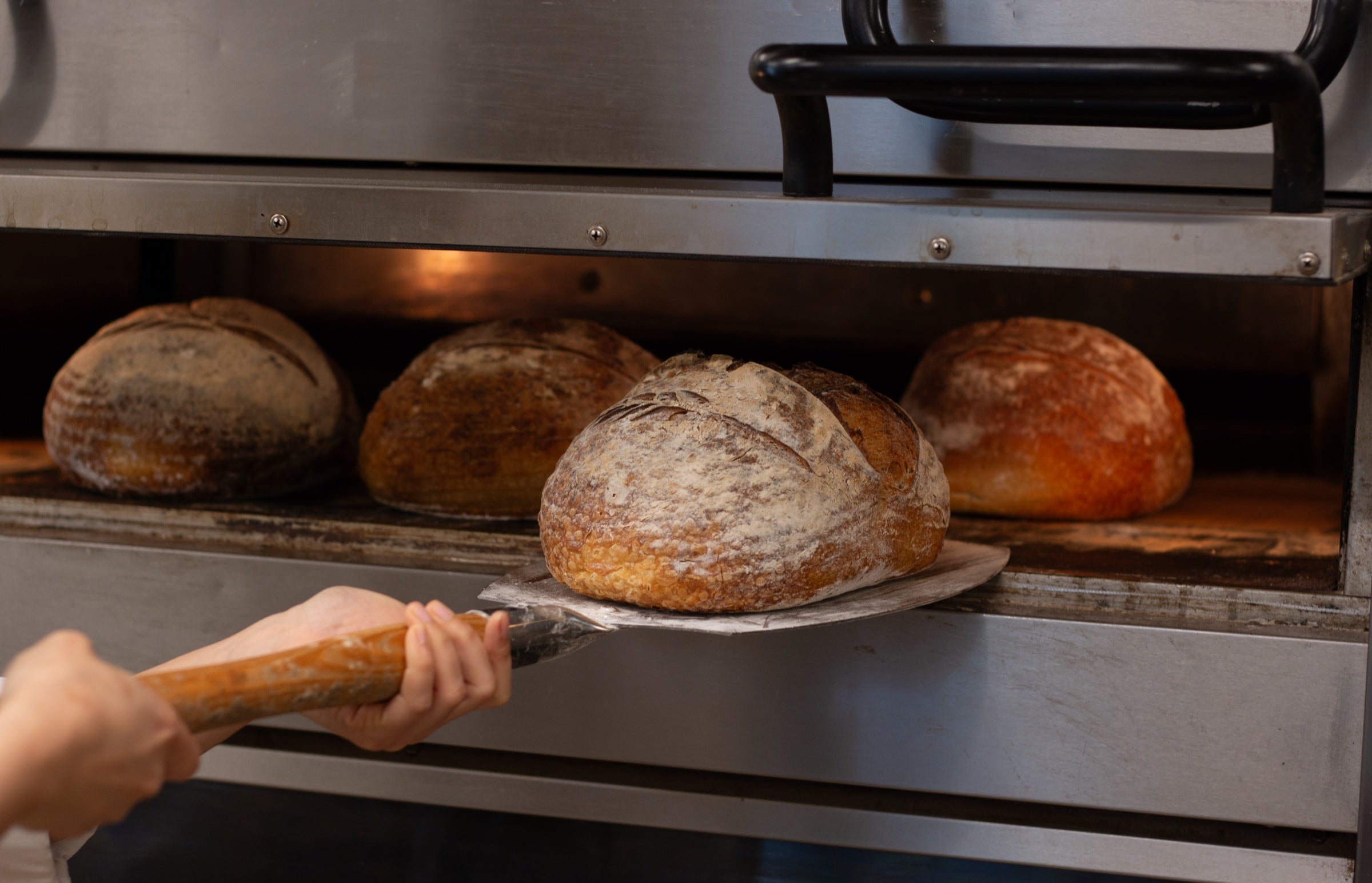 Fresh Pantry d’Or sourdough being lifted from the bakery oven